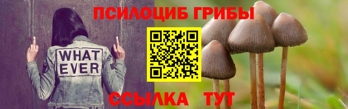 Галлюциногенные грибы Cubensis Кушва