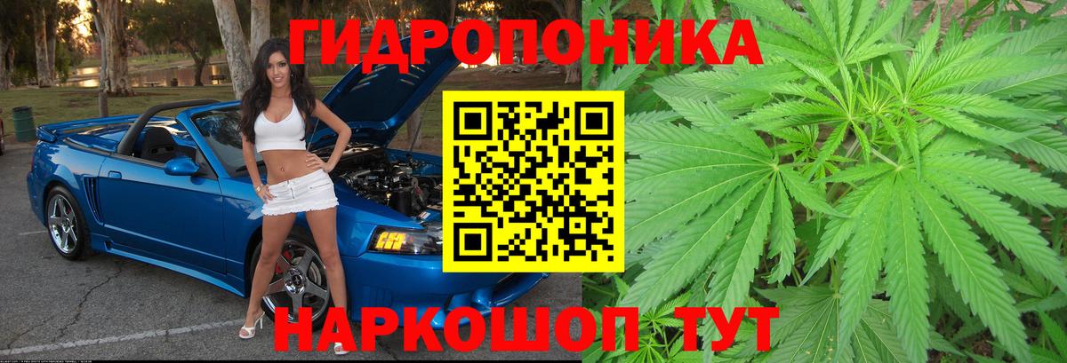 Шишки марихуана ГИДРОПОН  Вход с VPN  Кушва  Бошки марихуана Bruce Banner 
